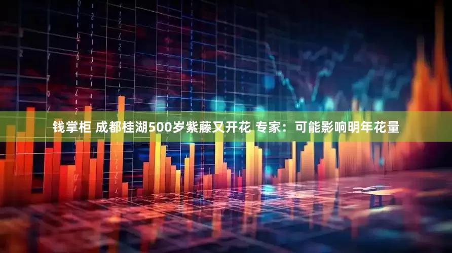 钱掌柜 成都桂湖500岁紫藤又开花 专家：可能影响明年花量