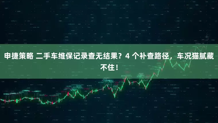 申捷策略 二手车维保记录查无结果？4 个补查路径，车况猫腻藏不住！